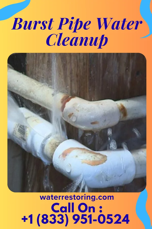 Burst Pipe Water Cleanup in Hopkins Park, IL