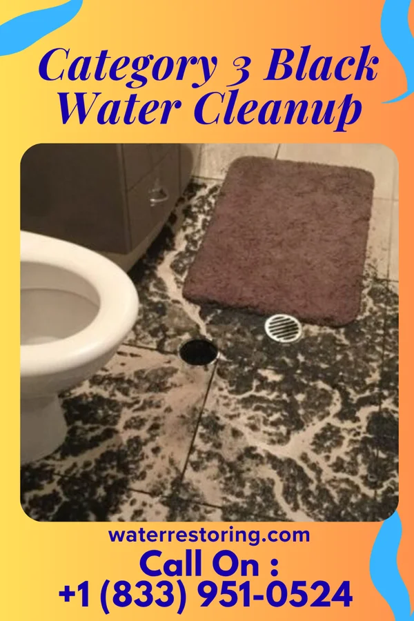 Category 3 Black Water Cleanup in Hopkins Park, IL