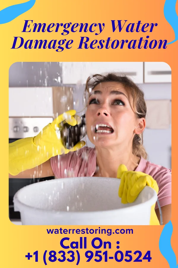 Emergency Water Damage Restoration in Hopkins Park, IL