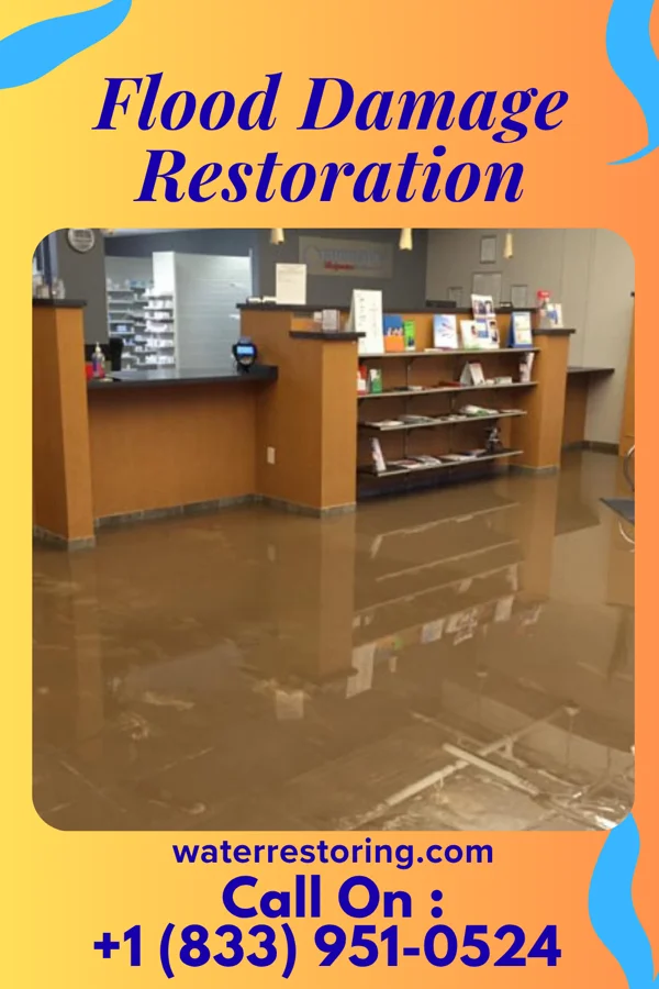 Flood Damage Restoration in Hopkins Park, IL