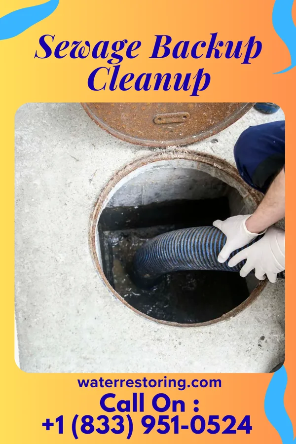 Sewage Backup Cleanup in Hopkins Park, IL