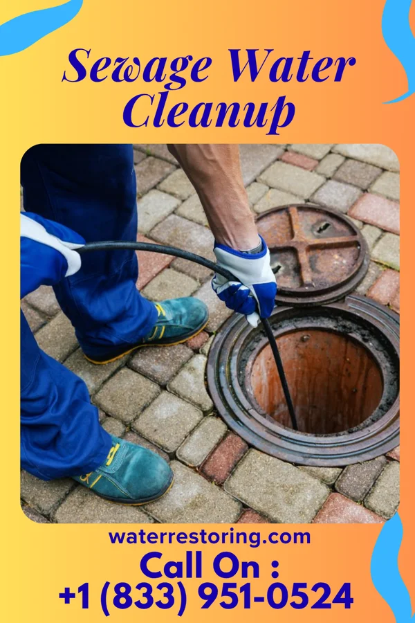 Sewage Water Cleanup in Hopkins Park, IL