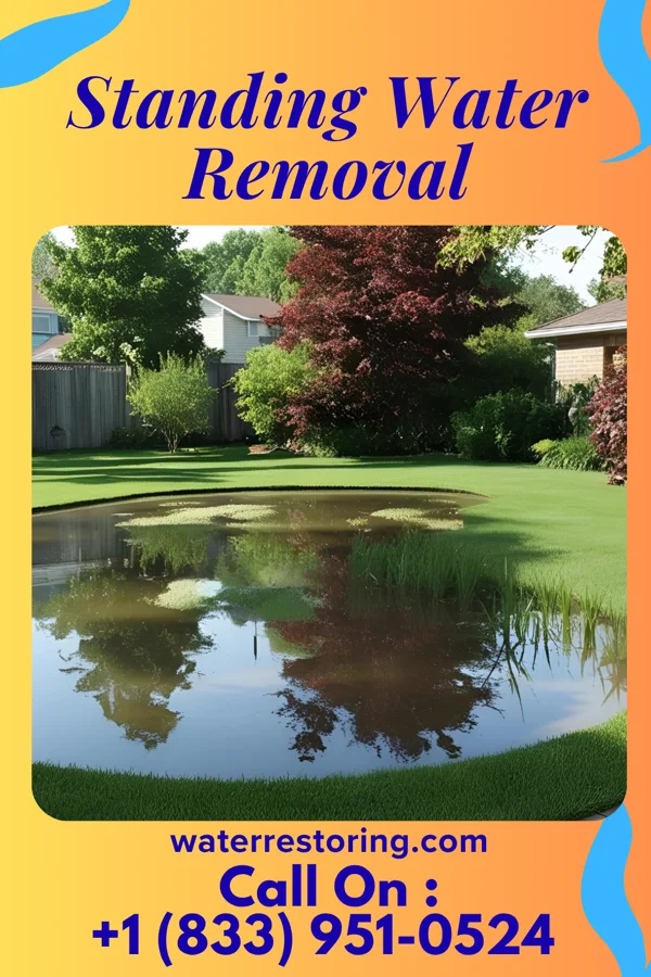Standing Water Removal in Hopkins Park, IL